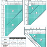 Ito Lens 1.60 調光偏光 FFシリーズ PHOTO POLAR 内面累進レンズ